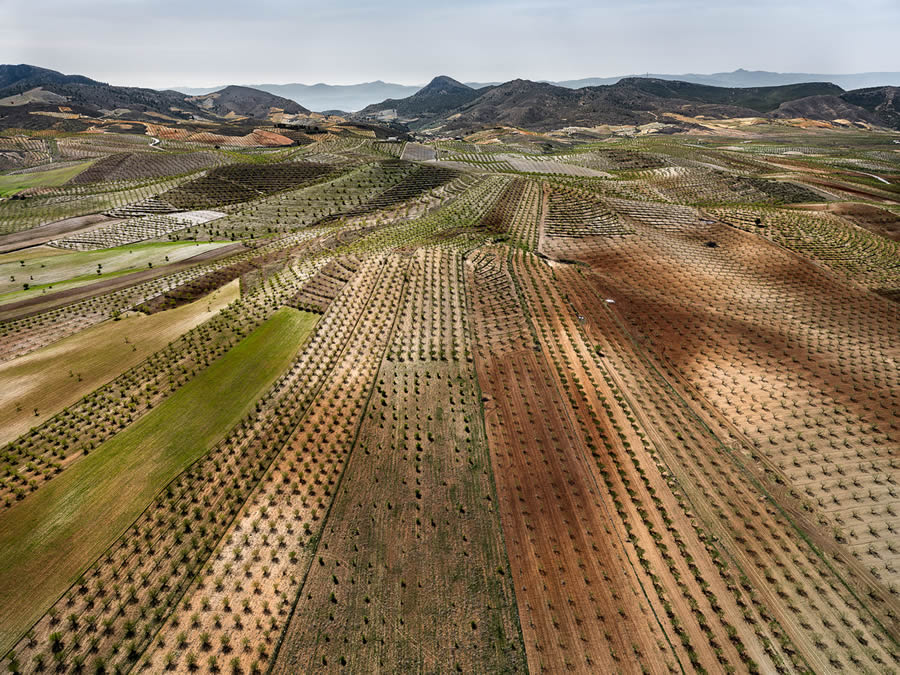 Landscape Photos Of Agricultural Fields In Central Spain By Tom Hegen