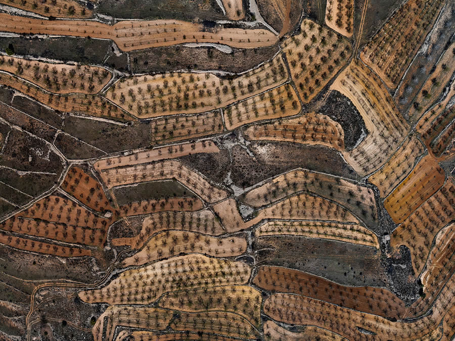 Landscape Photos Of Agricultural Fields In Central Spain By Tom Hegen