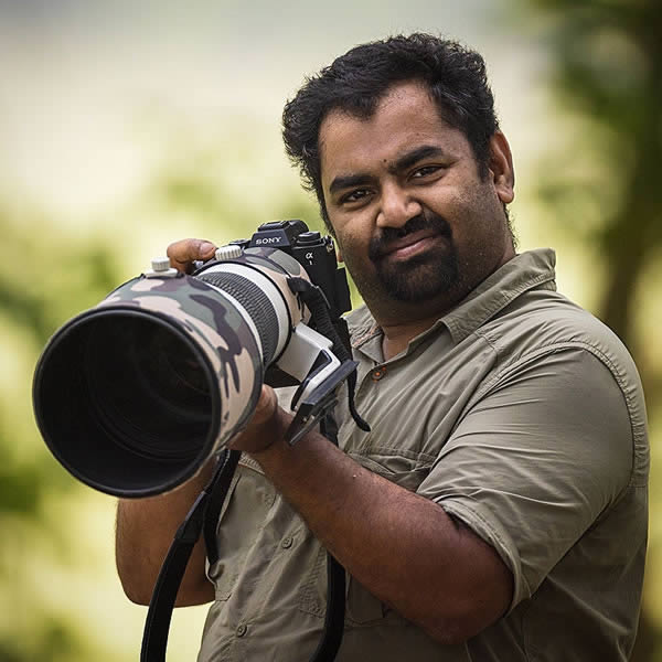 Wildlife Photographer Anupam Thombre Captures Stunning Animal Photos In Indian Forests