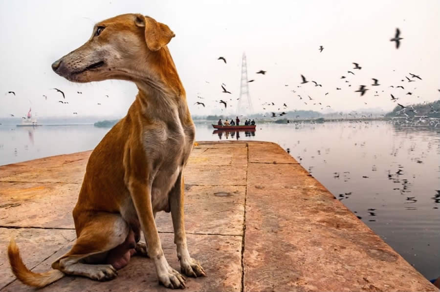 Best Color Street Photography International