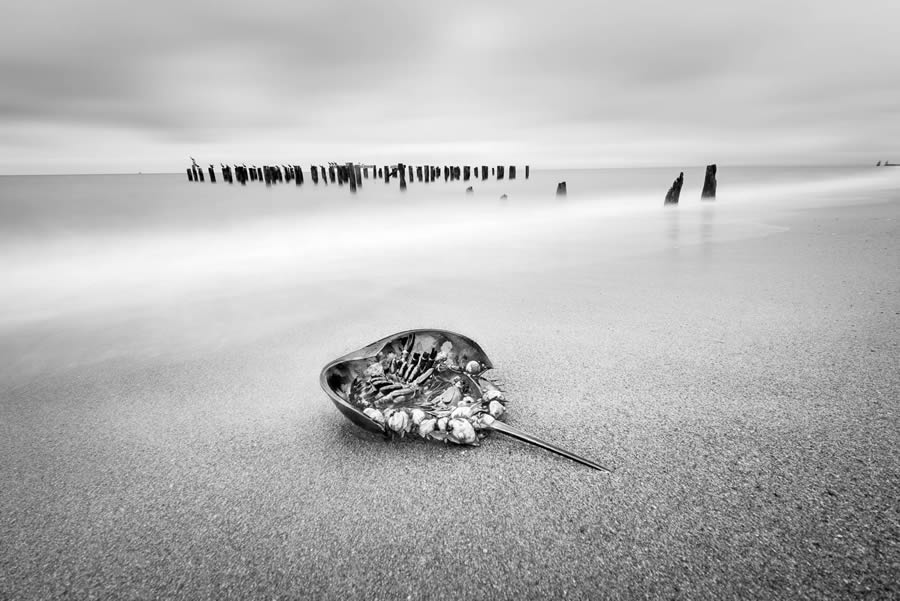 Black And White Fine Art Landscape Photography By Chuck Kimmerle