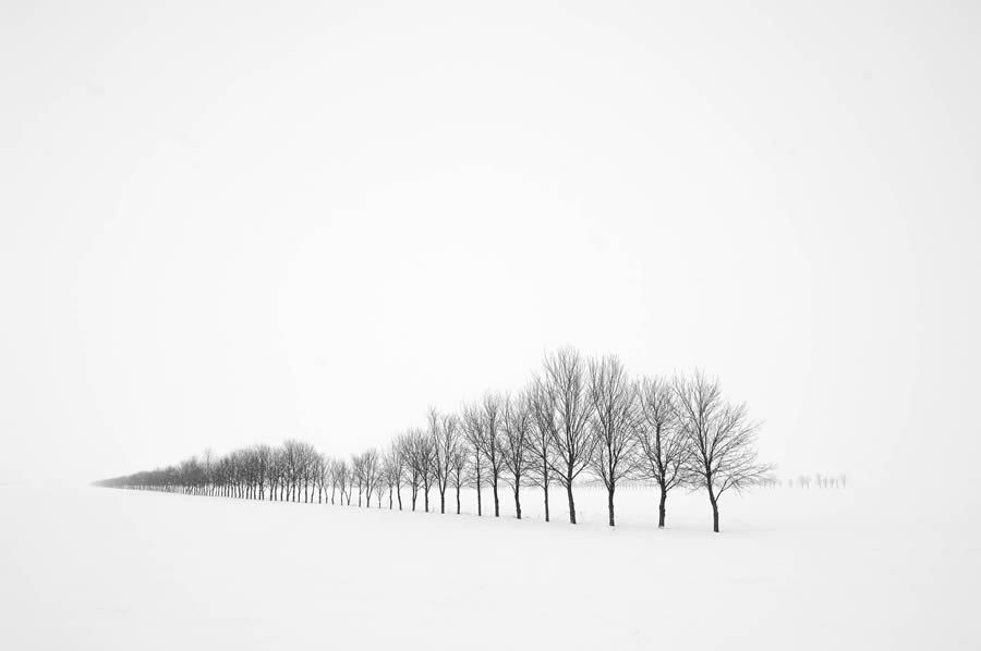 Black And White Fine Art Landscape Photography By Chuck Kimmerle