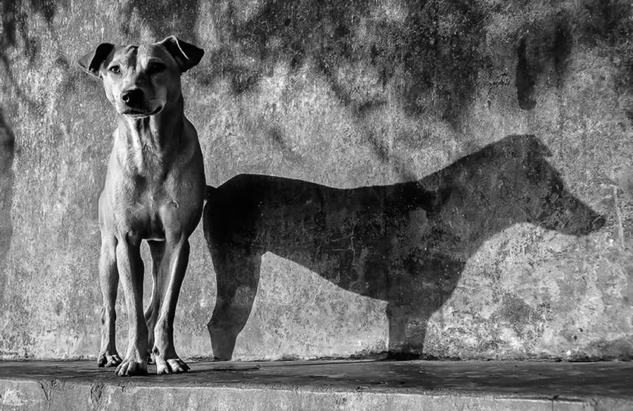 Best Black And White Street Photography International