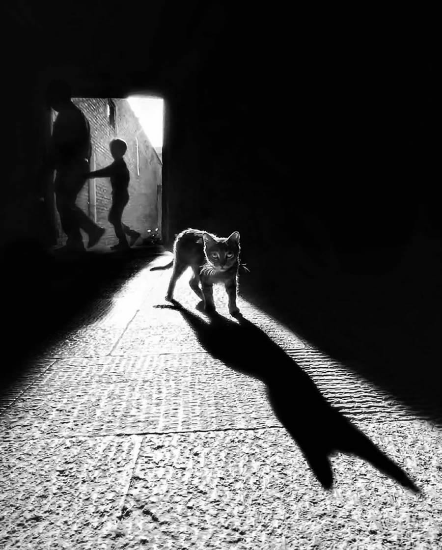 Best Black And White Street Photography International