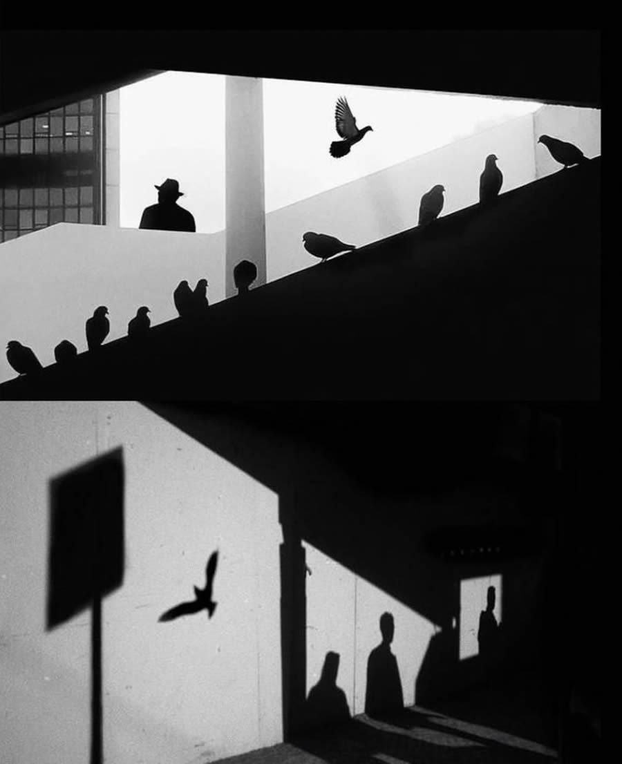 Best Black And White Street Photography International