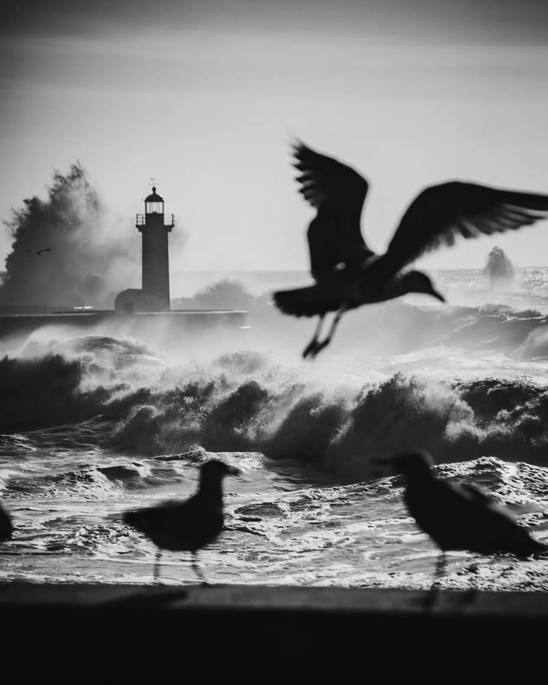 Portugal Black And White Street Photography By Joao Cabral