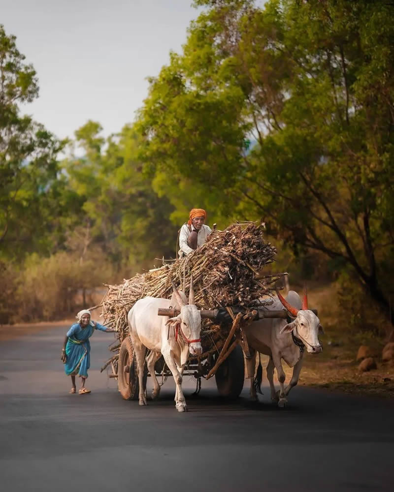 The Beauty Of Incredible India Photos