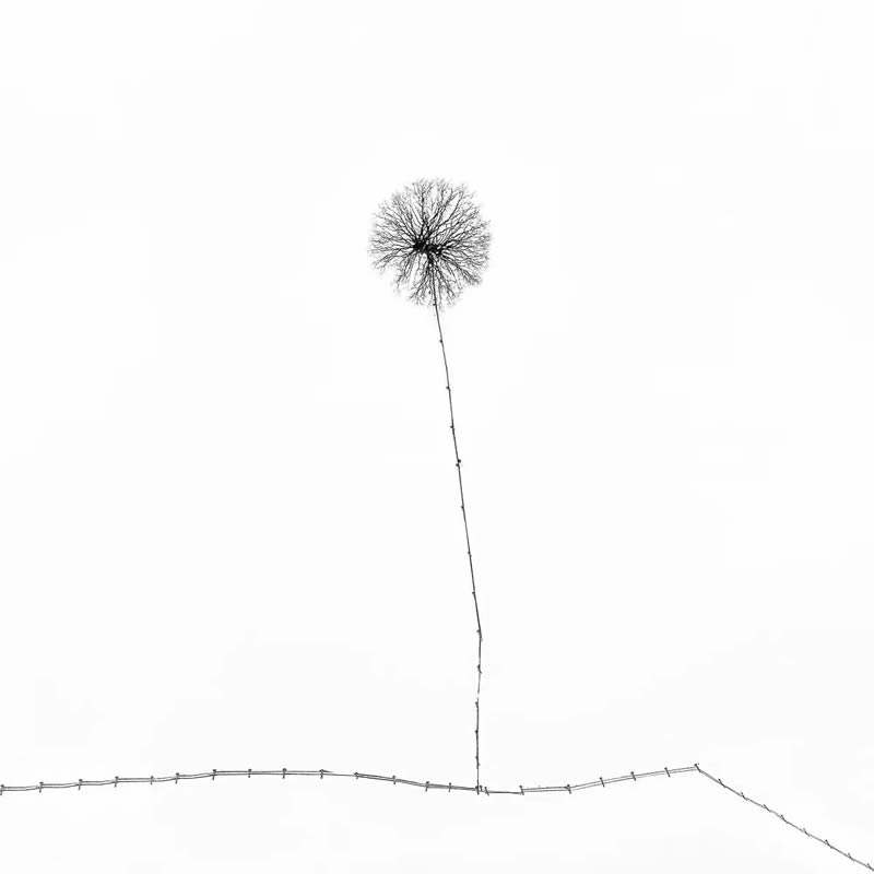 2024 Minimalist Photography Awards Winners