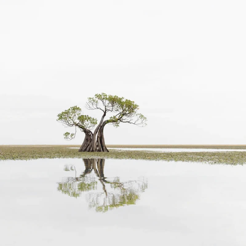 2024 Minimalist Photography Awards Winners