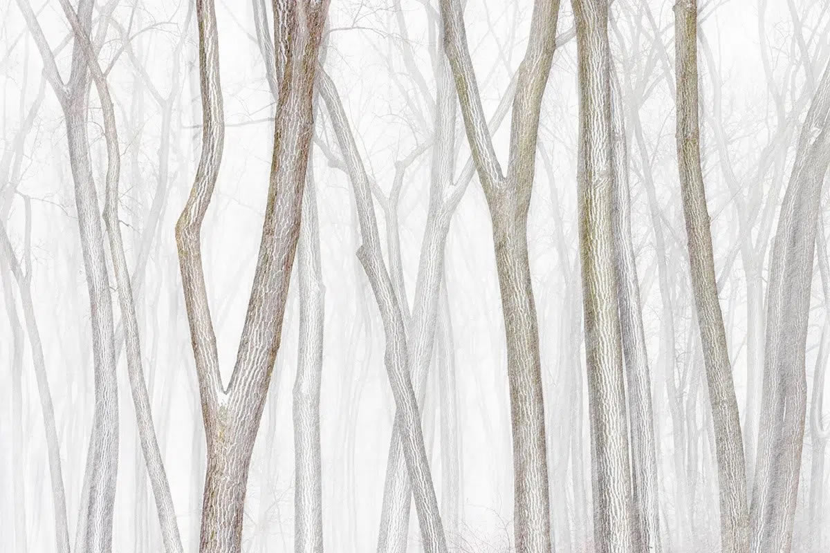 2024 Minimalist Photography Awards Winners
