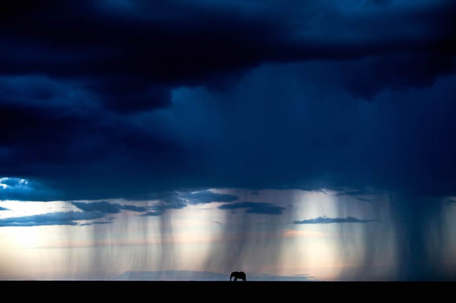 Nature TTL Photographer Of The Year 2024 Winners