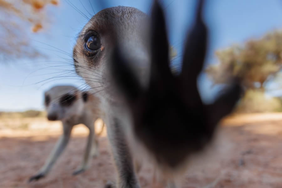 Nature TTL Photographer Of The Year 2024 Winners