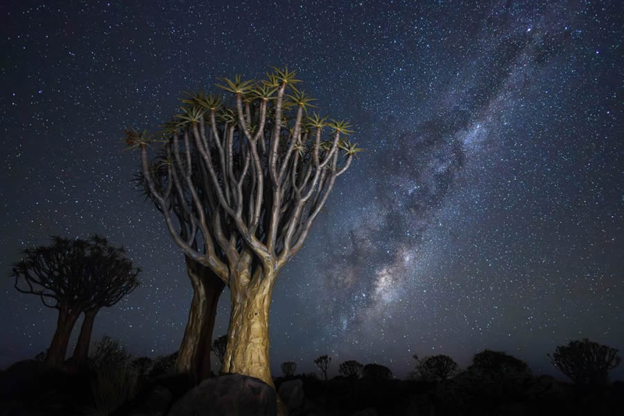 Nature TTL Photographer Of The Year 2024 Winners