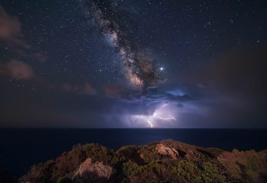 Nature TTL Photographer Of The Year 2024 Winners