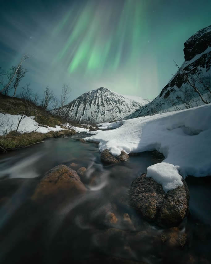 Nature TTL Photographer Of The Year 2024 Winners