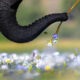 Nature TTL Photographer Of The Year 2024 Winners