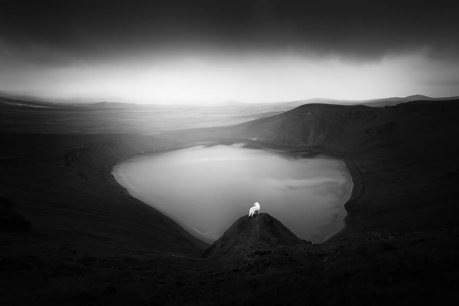 2024 reFocus Black And White Photography Awards Winners