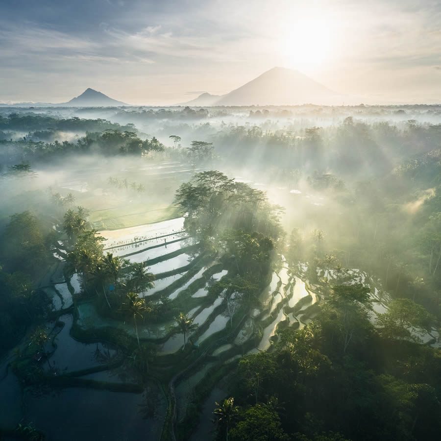 Aerial Landscape Photos Of Rice Cultivation By Aleksei Boiko