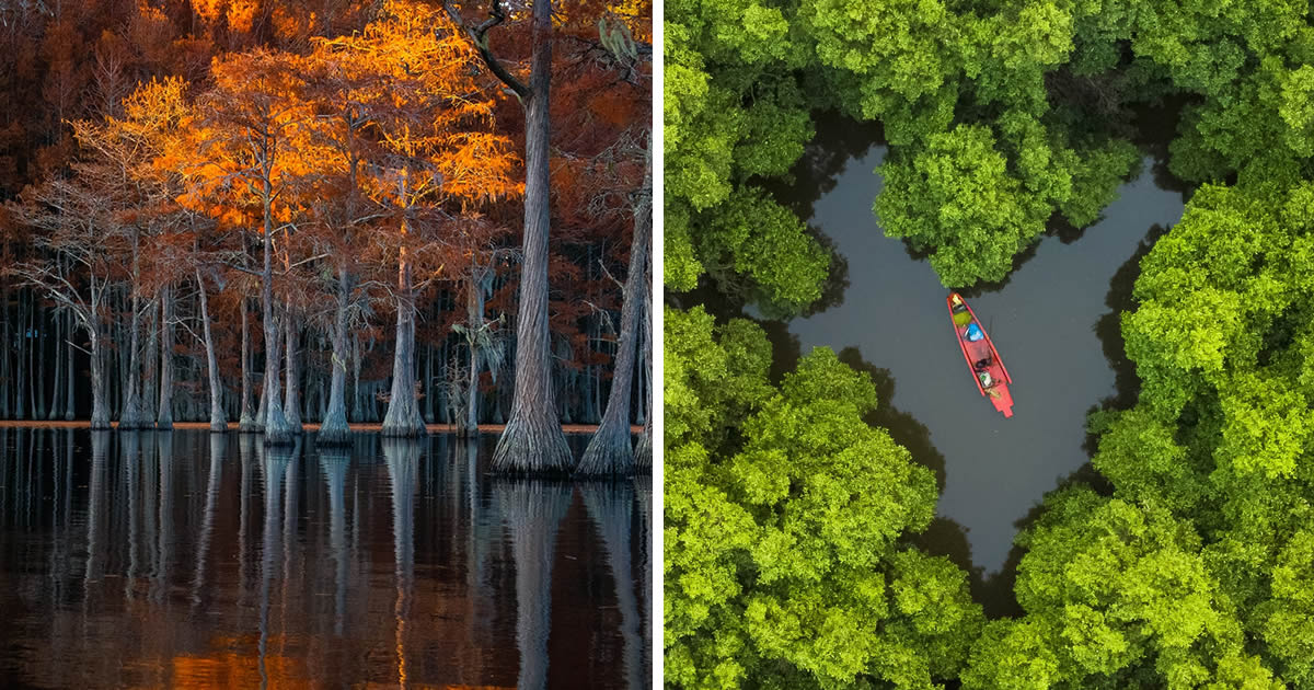 20 Stunning Award-Winning Nature Photos From The Tokyo Foto Awards