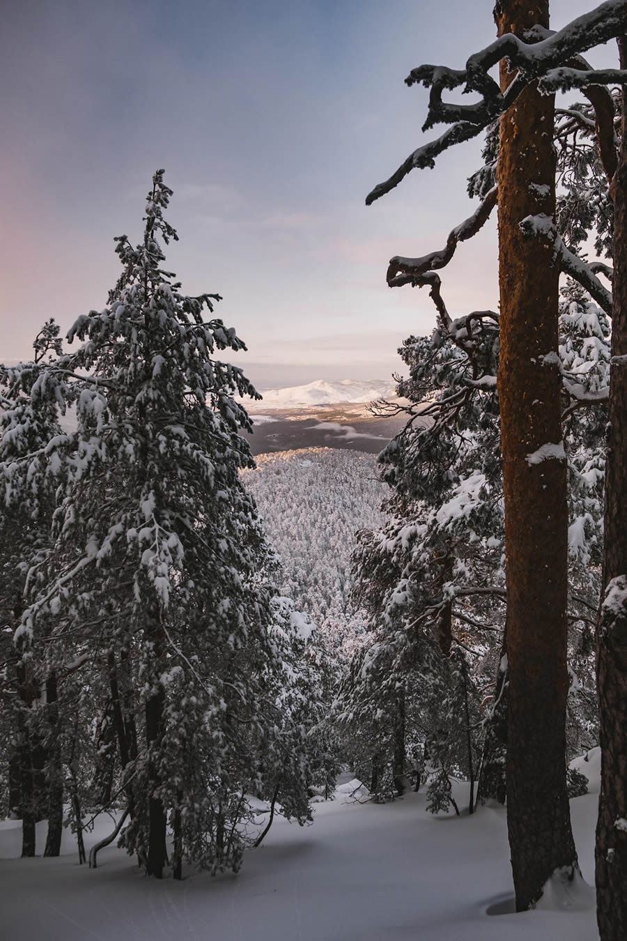 Winter Landscapes In Sierra de Guadarrama National Park, Spain By Javi Lorbada