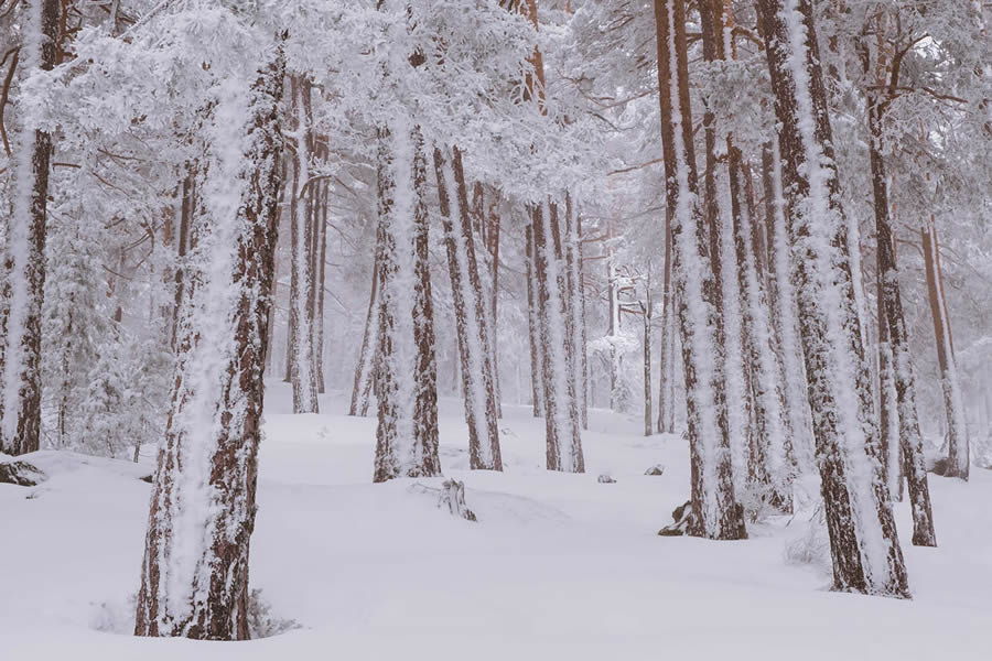 Winter Landscapes In Sierra de Guadarrama National Park, Spain By Javi Lorbada