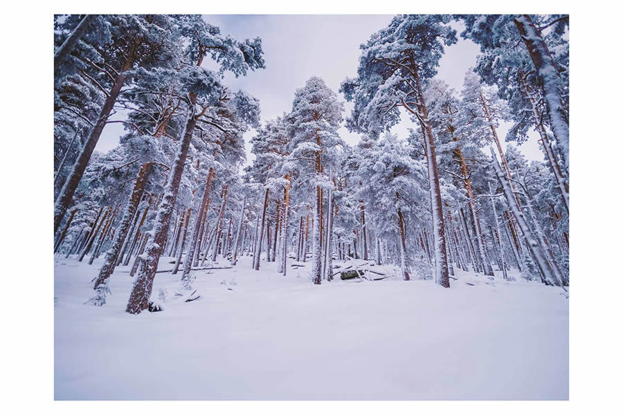 Winter Landscapes In Sierra de Guadarrama National Park, Spain By Javi Lorbada