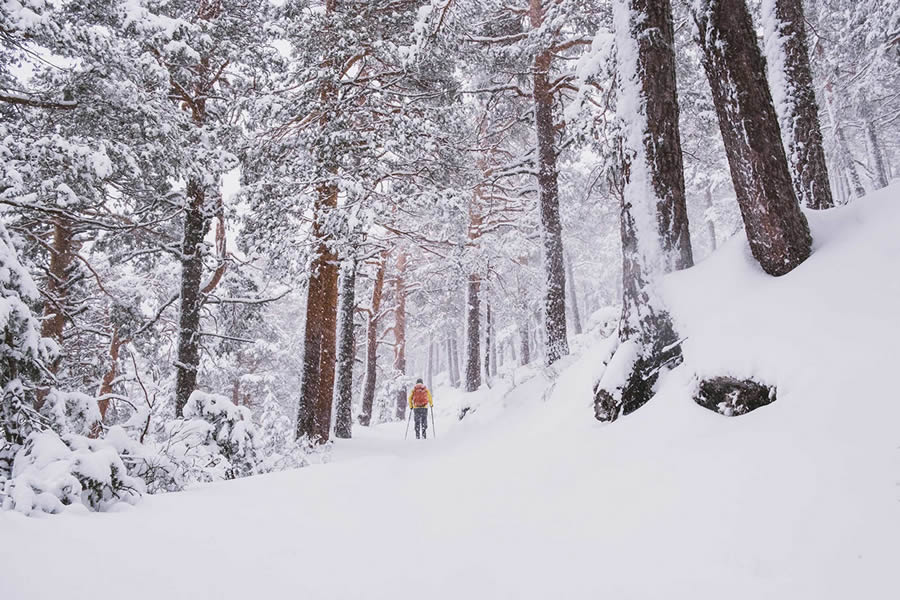 Winter Landscapes In Sierra de Guadarrama National Park, Spain By Javi Lorbada