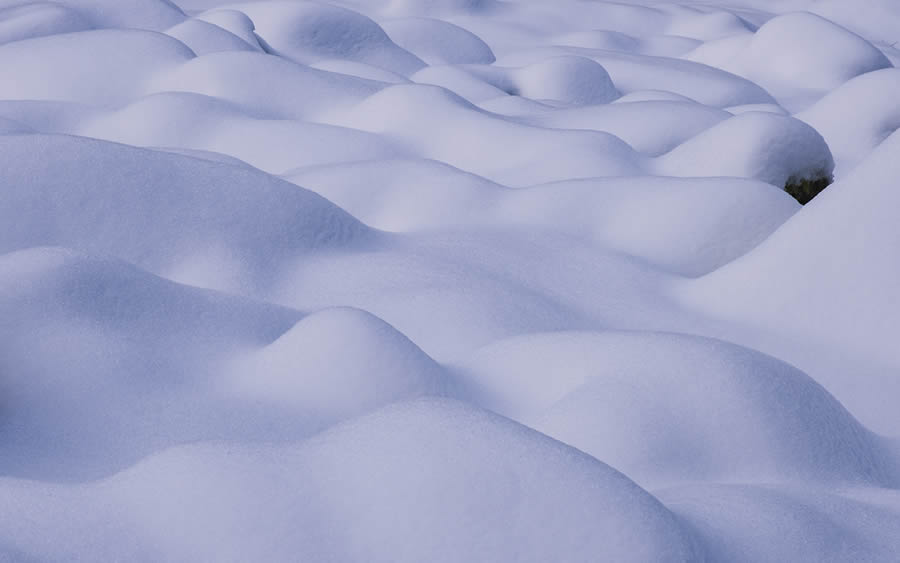 Winter Landscapes In Sierra de Guadarrama National Park, Spain By Javi Lorbada