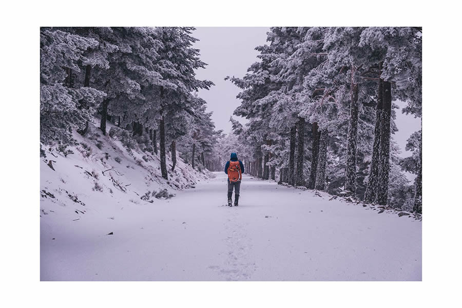 Winter Landscapes In Sierra de Guadarrama National Park, Spain By Javi Lorbada