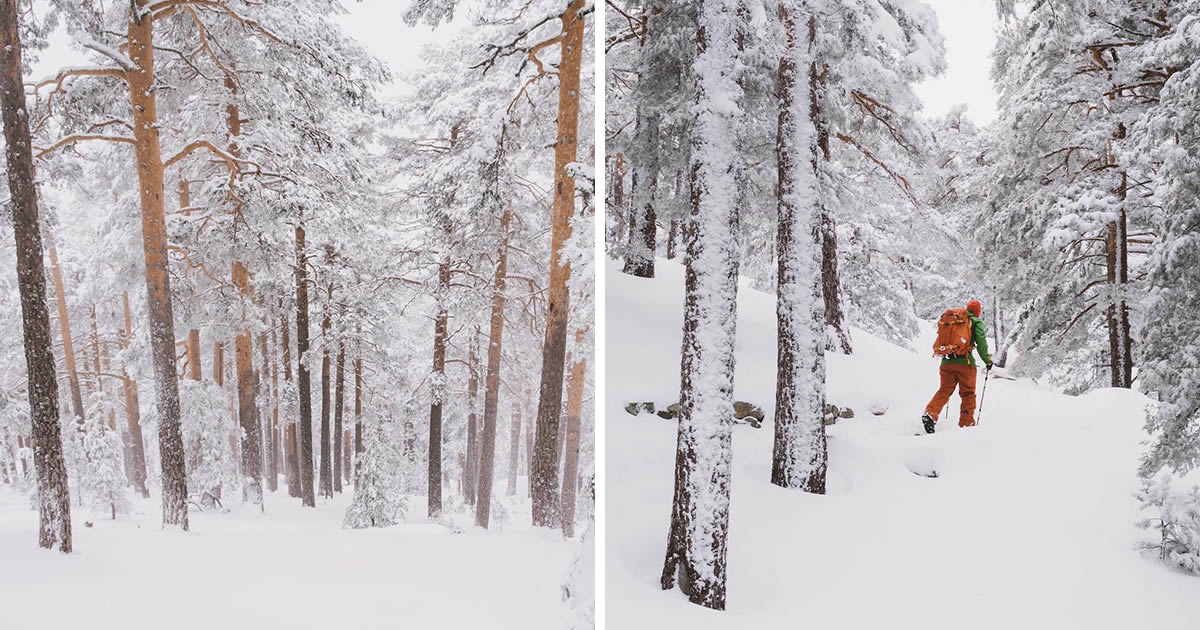 Stunning Winter Landscapes In Sierra de Guadarrama National Park, Spain By Javi Lorbada