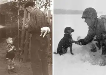 Man hiding a puppy; soldier shaking a dog’s paw