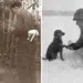 Man hiding a puppy; soldier shaking a dog’s paw