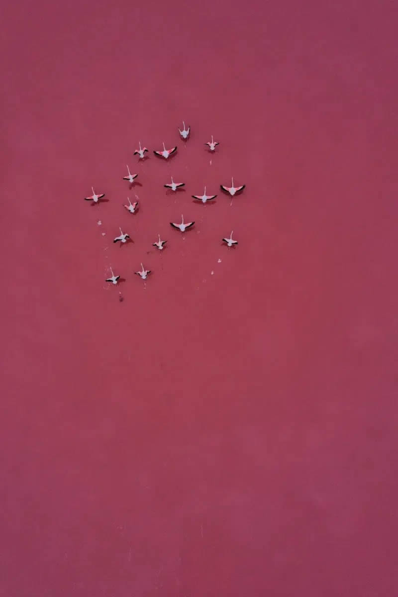 Minimalist Photography Awards Aerial Photography