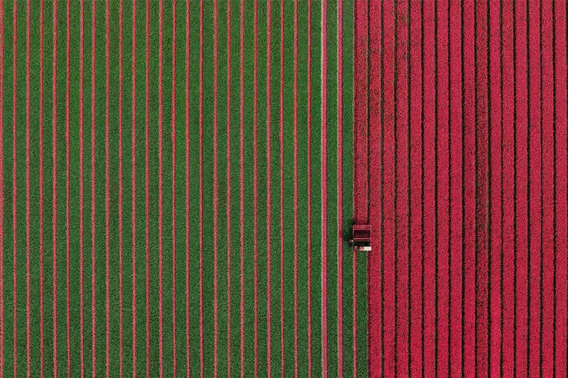 Minimalist Photography Awards Aerial Photography