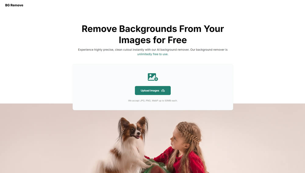 How to Conduct Seamless Background Removal with BG Remove