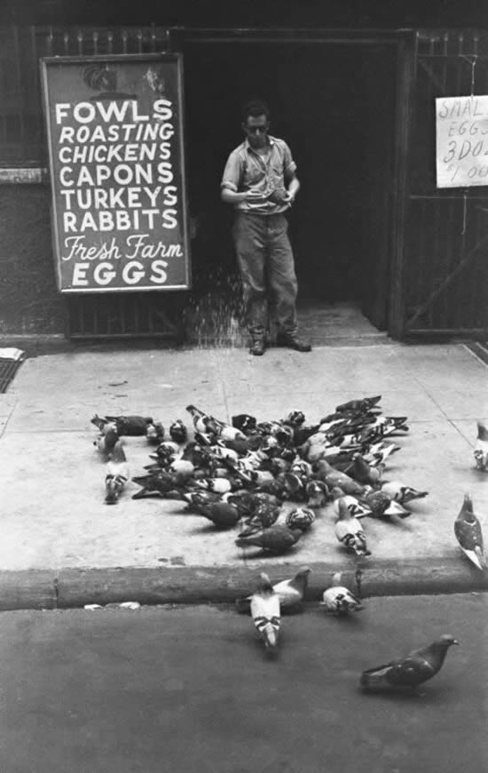 Iconic Black and White Photography By Harold Feinstein