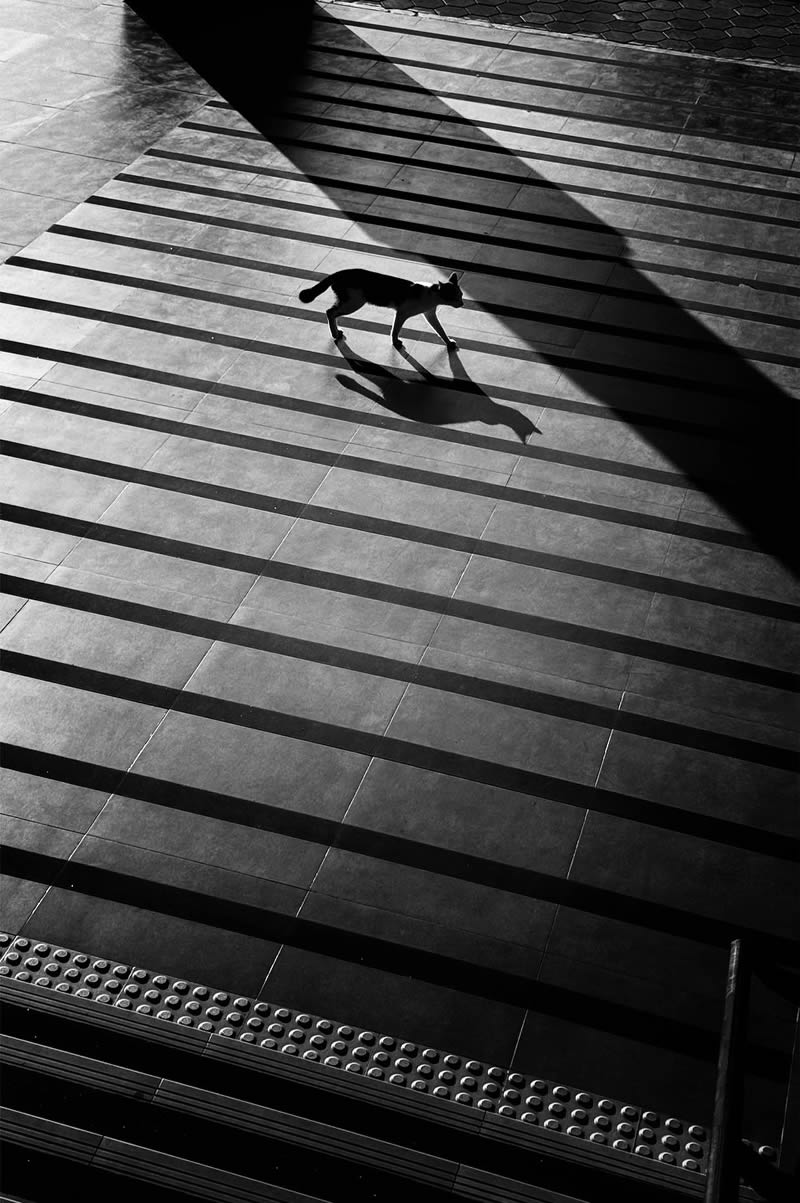 Light and Geometric Patterns in Black and White Street Photography by Nugroho Irianto