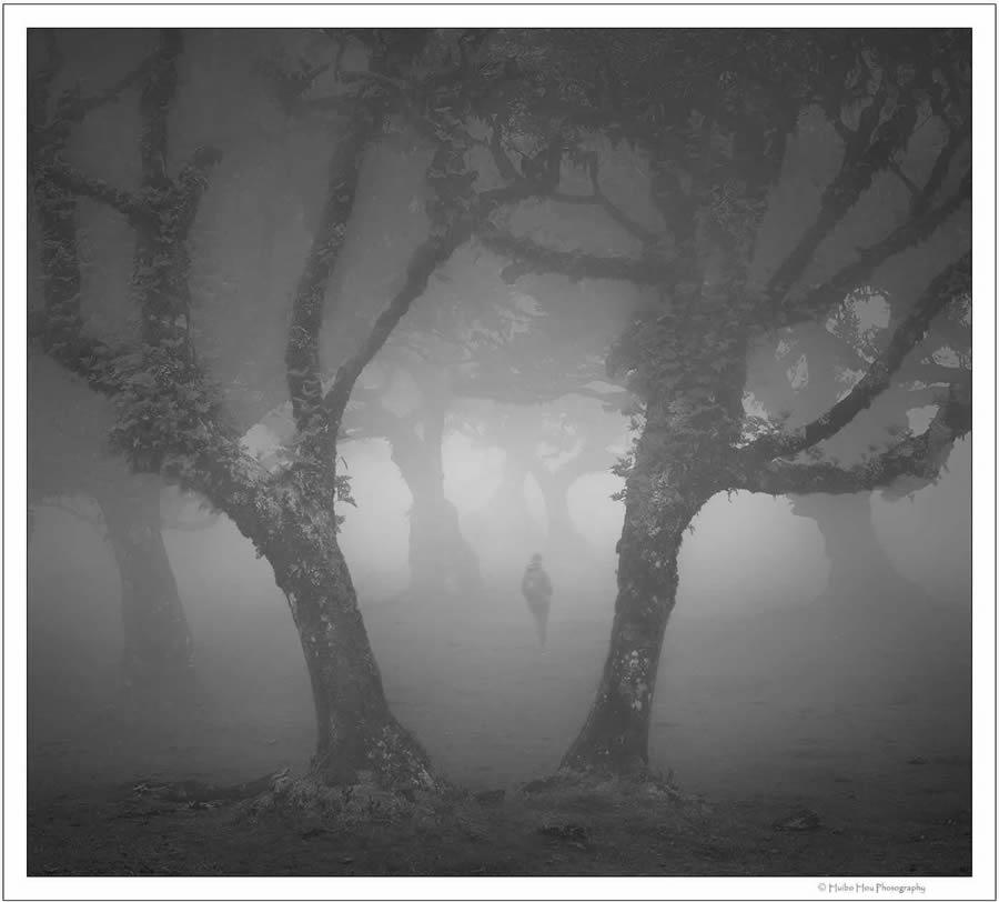 Black and White Landscape Photography by Huibo Hou