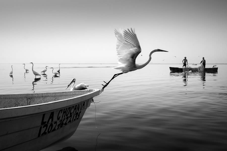 The Elegance Of Contrast: 30 Striking Black And White Street Photos By Moises Levy