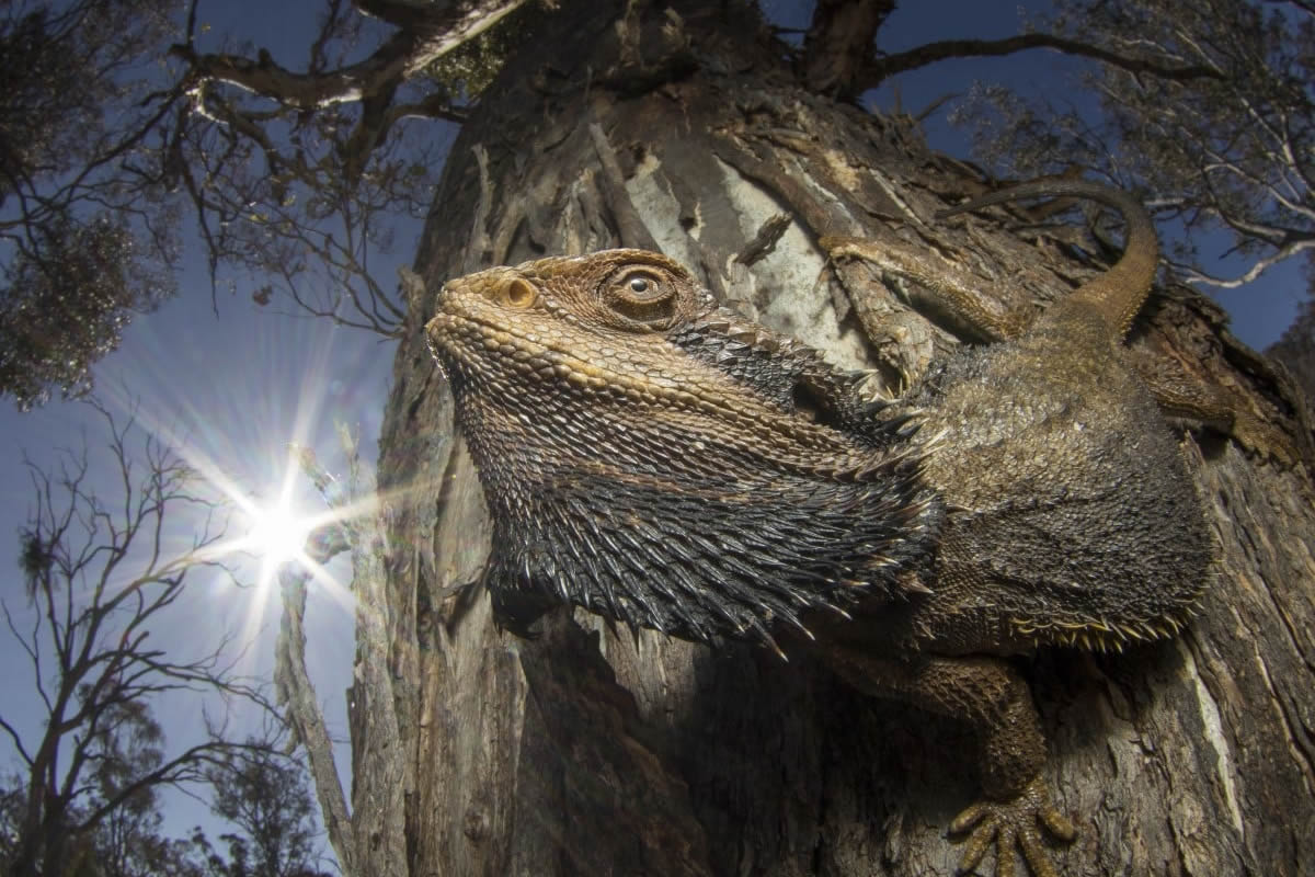 British Ecological Society Photo Contest 2024 Winners