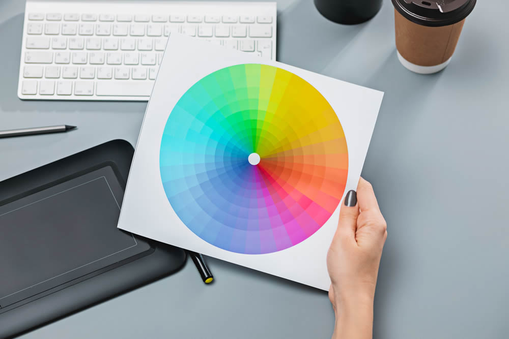 The Role of Color Theory in Photography