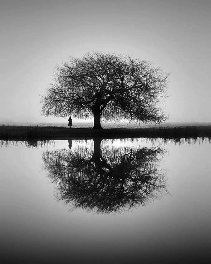 Black and White Fine Art Photography by Kyuwon Lim