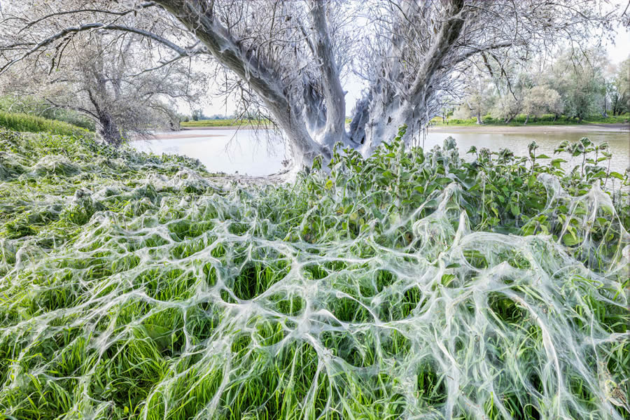 2024 European Nature Photographer Of The Year Winners