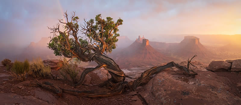 2024 Epson International Panorama Photo Awards Winners