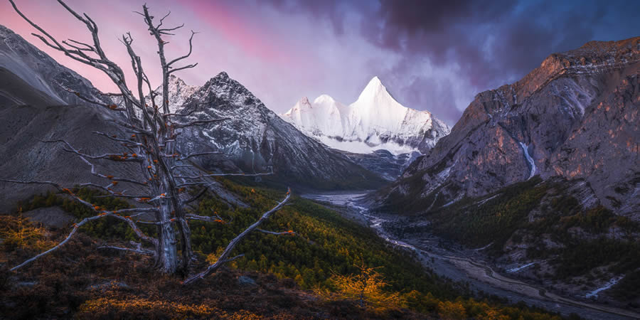 Nature And Landscape Winners of the 2024 Epson Panorama Photo Awards