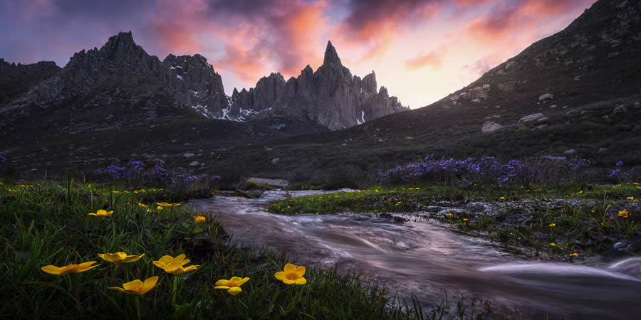 Nature And Landscape Winners of the 2024 Epson Panorama Photo Awards