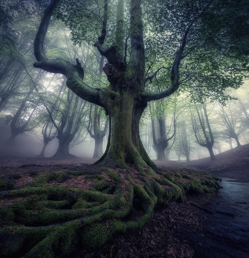 Breathtaking Landscapes Around the World By Max Rive