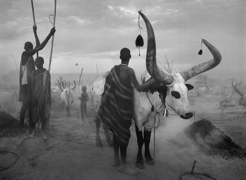 Sebastiao Salgado Master Photographer