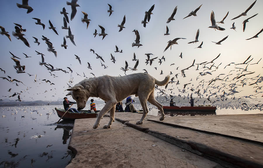 Turkish Photographer Nese Arı Captures Stunning Moments on the Streets