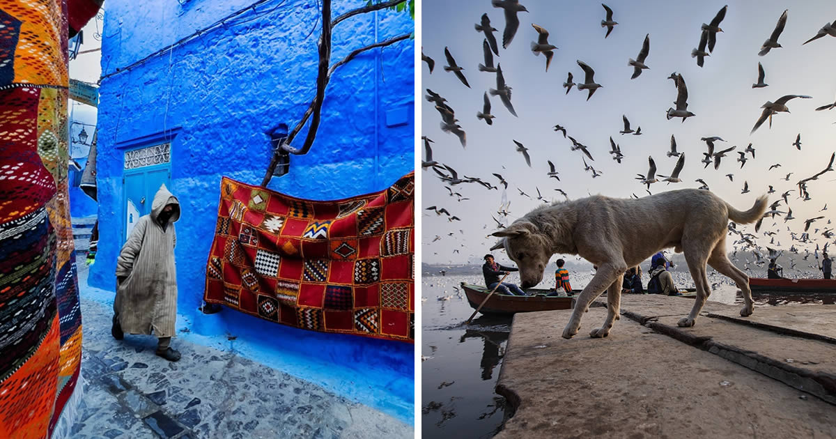 Turkish Photographer Nese Arı Captures Stunning Moments on the Streets